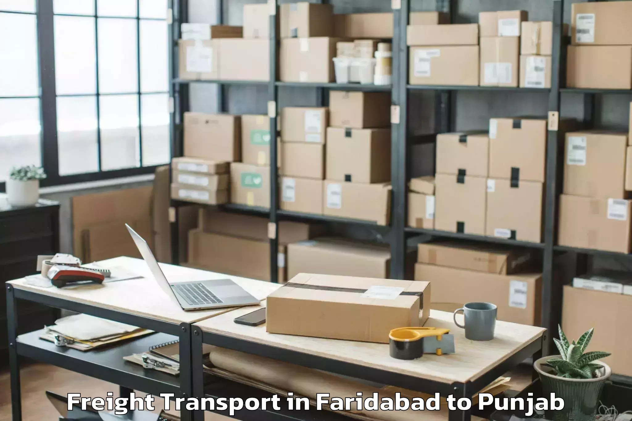 Discover Faridabad to Dhariwal Freight Transport